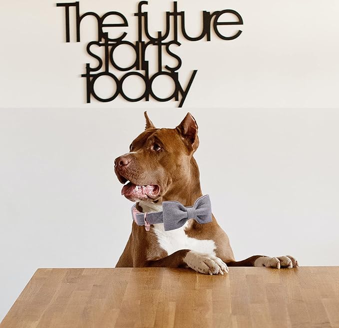 DOGWONG Hemp Cotton Dog Collar with Bow Grey Pet Collar Durable Adjustable Puppy Collar for Small Medium Large Dogs