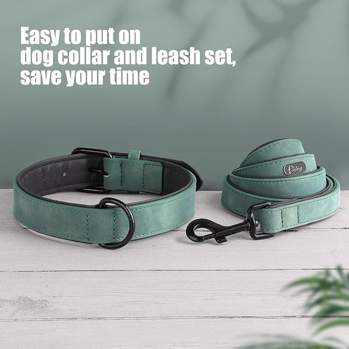 Didog Soft Padded Leather Dog Collar and Leash Set, Heavy Duty Dog Lead and Collar Set with Metal Buckle, Breathable Pet Collars with 4FT Leather Leash for Small Medium Dogs, Green, M