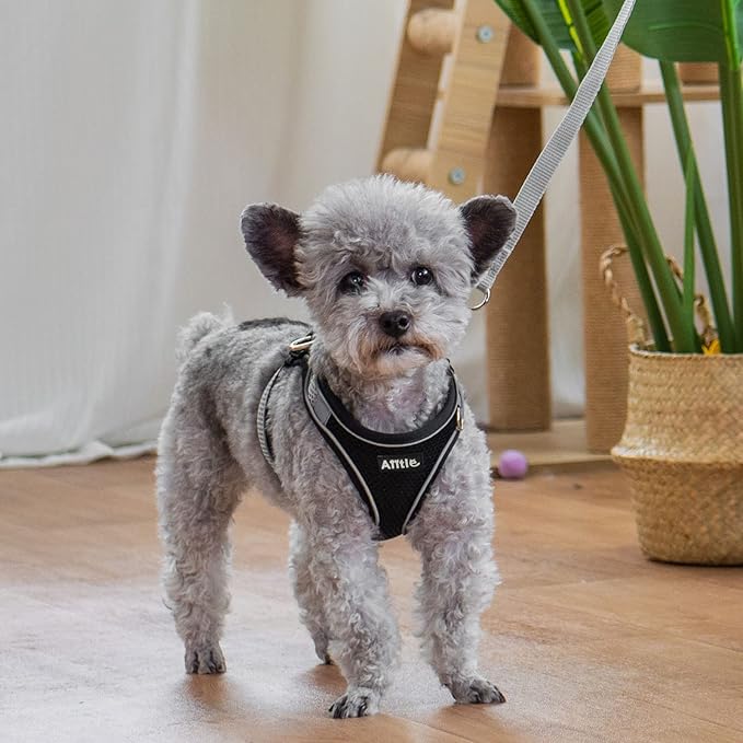 AIITLE Easy Walk Dog Harness and Leash Set - Pet Supply No Pull, Step in Adjustable Dog Harness with Padded Vest for Spring, Dog Harness No Choke Over, Easy to Put on Medium Dogs Black L