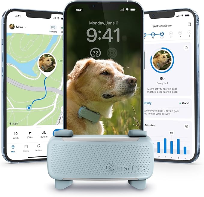 Tractive GPS Dog Tracker (2025 Release) | Real-time Pet Location Tracker | Health & Wellness Alerts | Virtual Fence for Dogs | Bark Monitoring | Dog Collar Attachment (Mint)