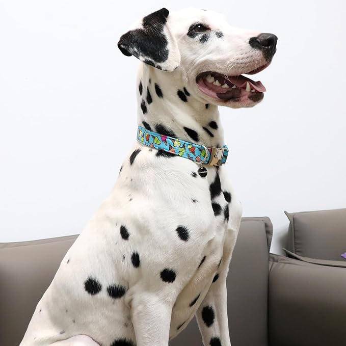 Ice Cream Summer Cotton Dog Collar with Metal Buckle Gift Collar for Small Medium Large Girls or Boys Dogs Cute Durable Comfortable Pet Collars