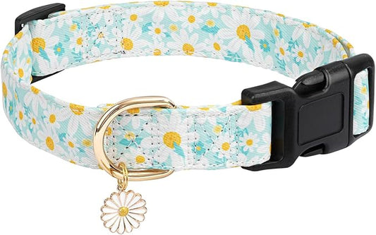Dog Collars with Buckle Adjustable for Cute Girl Female Boy Dogs,Special Soft and Fancy Dog Pet Collar with Flower Design for Small Medium Large Dogs (S, Cyan-Daisy)