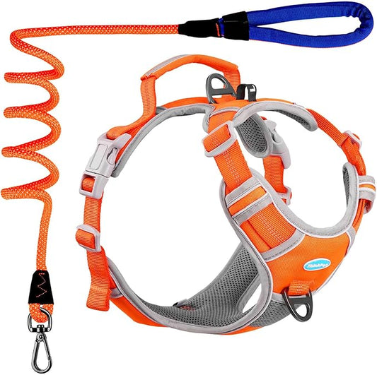 ThinkPet No Pull Harness Set Breathable Sport Harness with Handle - Reflective Padded Dog Safety Vest with Reflective Neon Dog Leash L Harness Leash Pack Orange