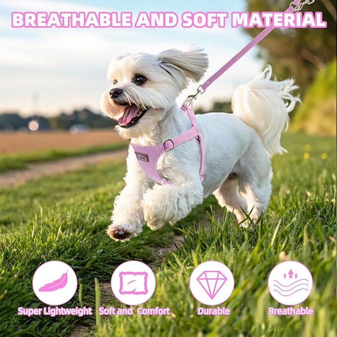 PUPTECK Dog Harness and Leash Set Small Sized, Step-in Cute Puppy Harness, Soft Lightweight Padded Vest, Escape Proof No Pull Pet Harnesses Easy for Walking, Purple, S