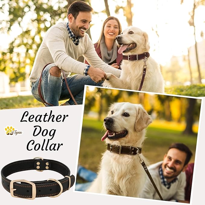 ADITYNA Heavy Duty Leather Dog Collar for Large Dogs - Soft and Strong Leather Collar for Walking and Training (Black - Gold Colored Buckle, Large: Fit 17" - 23" Neck)