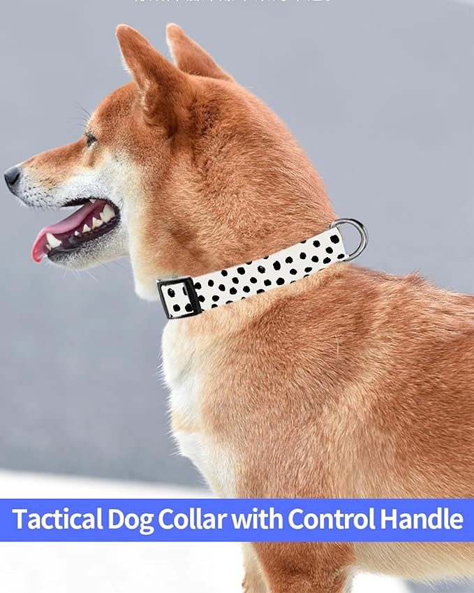 Dog Collar, Cute Dog Collar for Small Medium Large Dogs, Personalized Adjustable Soft Pet Collars with Quick Release Buckle for Walking Running, Cute Polka Dots