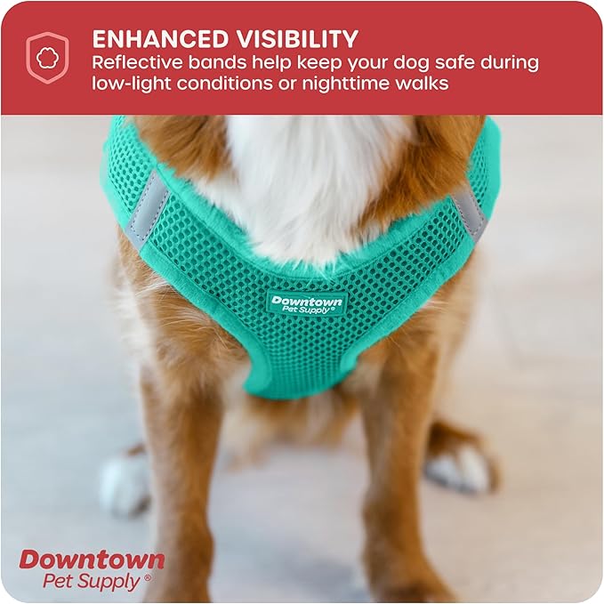 Downtown Pet Supply Step in Dog Harness for Small Dogs No Pull, Small, Bermuda Blue - Adjustable Harness with Padded Mesh Fabric and Reflective Trim - Buckle Strap Harness for Dogs