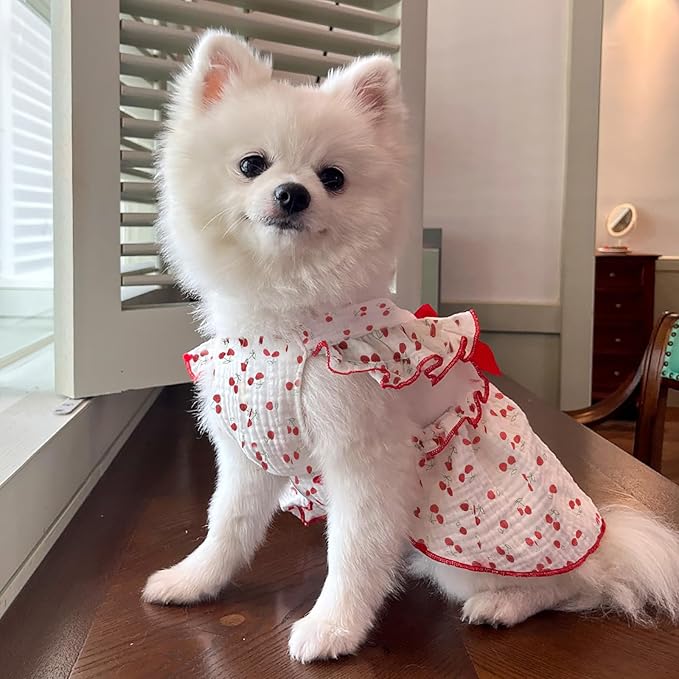 CuteBone Cotton Dog Dress Cherry with Leash Ring & Sleeve Ruffles, Soft & Breathable, Stylish Pet Clothes Outfit for Small Dogs, Comfortable & Easy to Wear CFX01M