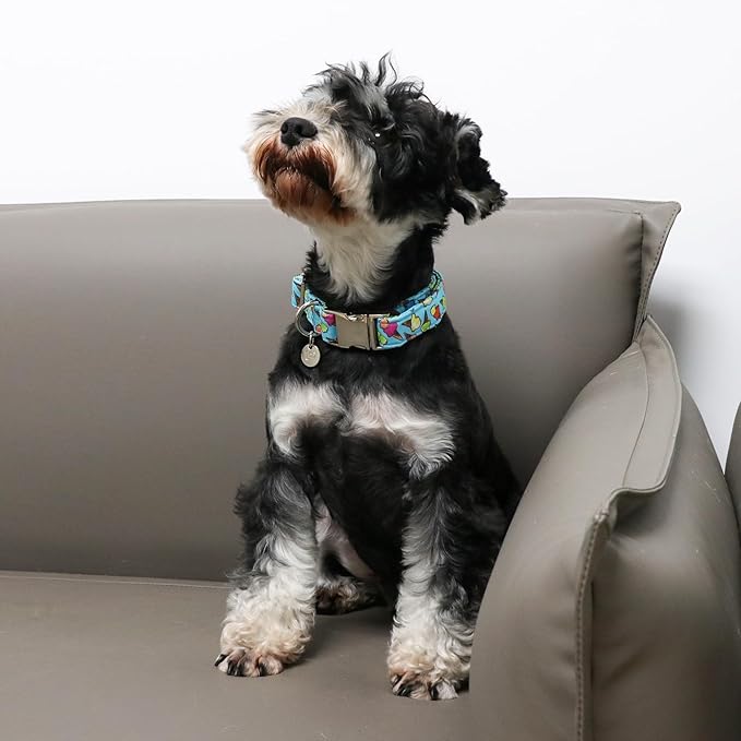Ice Cream Summer Cotton Dog Collar with Metal Buckle Gift Collar for Small Medium Large Girls or Boys Dogs Cute Durable Comfortable Pet Collars
