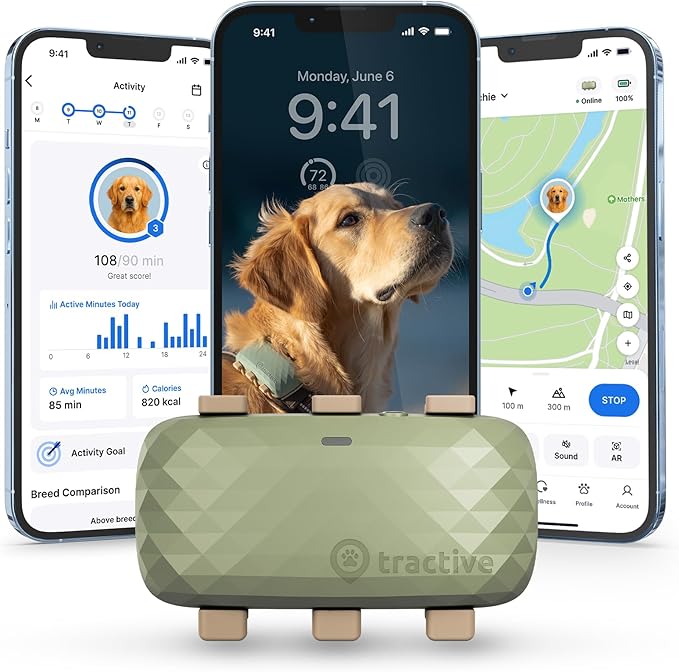 Tractive XL GPS Dog Tracker (50 lbs+) | Real-time Pet Location Tracker | Health & Wellness Alerts | Virtual Fence for Dogs | Dog Collar Attachment (Green)
