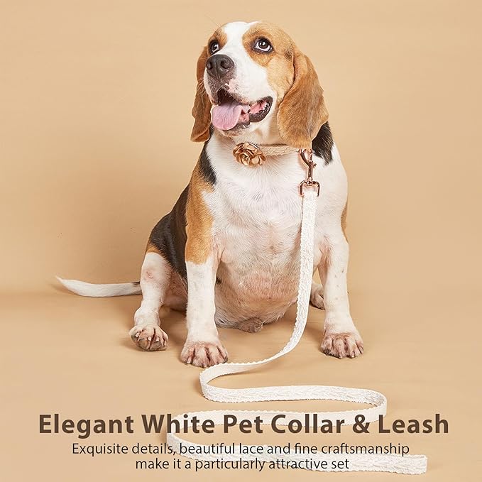 Fashion Flowers Embroidered Premium Lace Dog Collar Set with Metal Clasp Leash - Adjustable for Small, Medium, Large Dogs,M