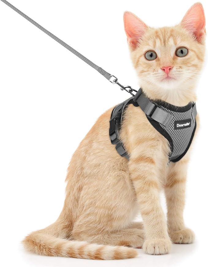 Dooradar Cat Harness and Leash Set, Escape Proof Safe Adjustable Kitten Vest Harnesses for Walking, Easy Control Soft Breathable Mesh Jacket with Reflective Strips for Cats, Grey, XS