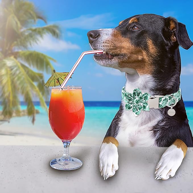 Summer Dog Collar, Comfortable Cotton Dog Collar with Flower for X-Large Dog Girl, Hawaiian Dog Collar with Metal Buckle,Green, XL