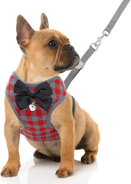 Rypet Small Dog Harness and Leash Set - No Pull Pet Harness with Soft Mesh Nylon Vest for Small Dogs and Cats Red M