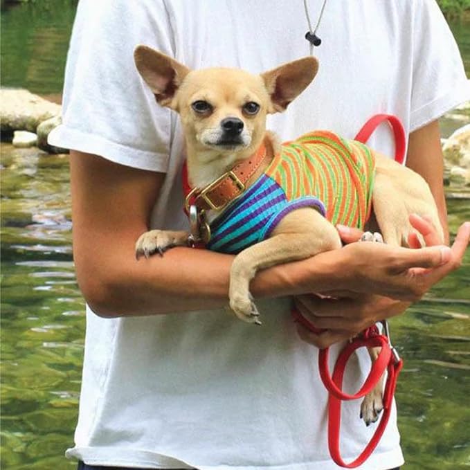 Little Beast Dog Clothes - Pet Clothes for Large, Medium, and Small Dogs (Dog Shirts Come in Multiple Colors and Styles) - Size: Large Dogs, Green/Orange