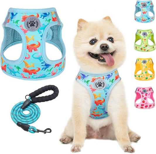 BEAUTYZOO Step in Dog Harness and Leash Set,Reflective Dog Harness No Pull No Choke Puppy Harness for Small Medium Large Dogs Cats,Soft Padded Mesh Vest Harnesses for Girl and Boy Pets,Dinosaurs XS
