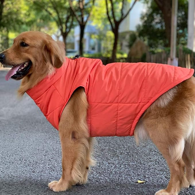 Orange M Dog Winter Coat, Waterproof, Ultra Warm, Windproof, Zippered Jacket, Breathable, Soft Cotton Lining for Small, Medium, Large Dogs