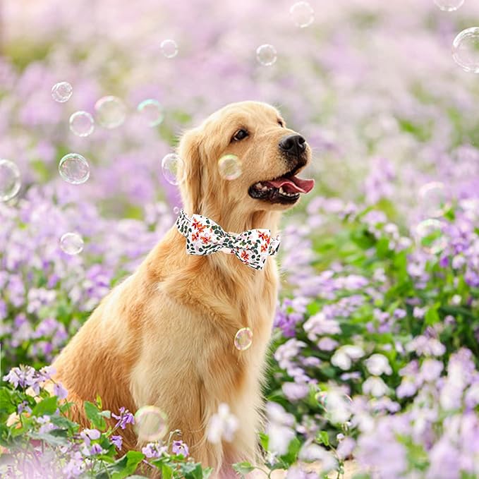 Elegant little tail Dog Collar, Dog Collar with Bowtie, Spring Flower Cute Pink Pet Collar Bow Dog Collars Adjustable Dog Collar for Medium Dogs
