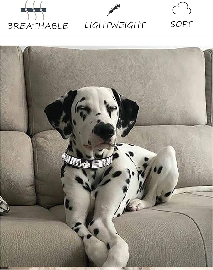 Dog Collar for Small Dogs, Adjustable Leather Suede Bling Dog Collars，Pink Dog Collar Cat Collar, Rhinestone Dog Collar (S, purple3)