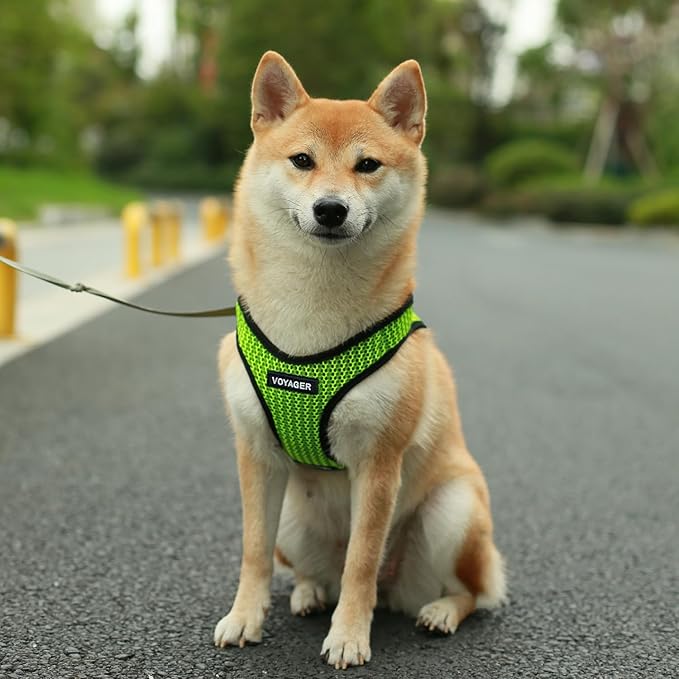Voyager Step-in Air All Weather Mesh Harness and Reflective Dog 5 ft Leash Combo with Neoprene Handle, for Small, Medium and Large Breed Puppies by Best Pet Supplies - Lime Green (2-Tone), M