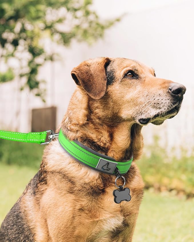 Joytale Dog Collar for Extra Large Dogs, Neoprene Padded and Adjustable, Reflective Wide Heavy Duty Pet Collars with Durable Metal Belt Buckle for Walking, Green, XL