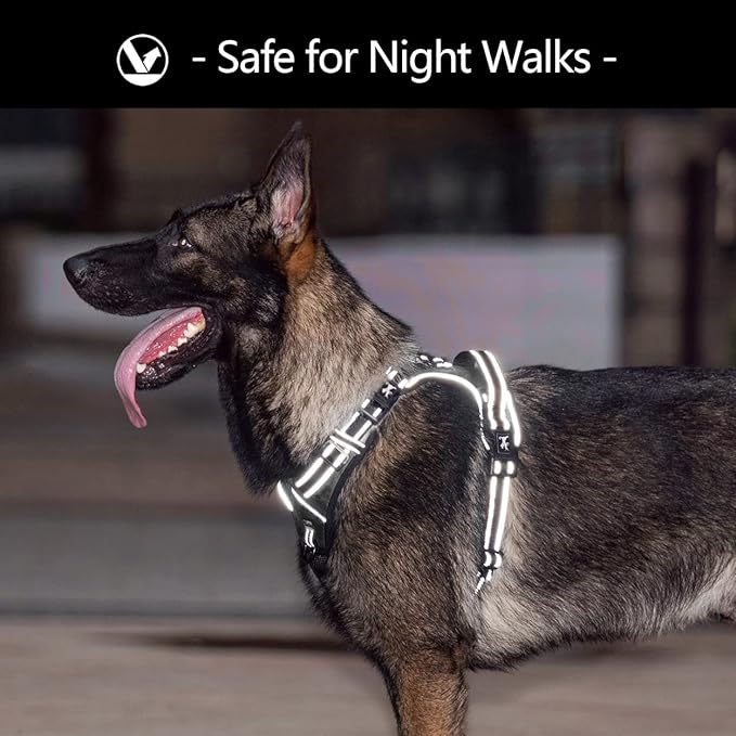 PoyPet No Pull Dog Harness with 4 Buckles for Puppy Small Dogs (Black,S)