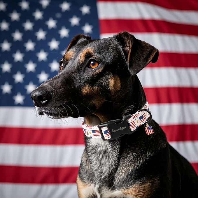 Unique style paws Dog Collar Plastic Buckle with Pendant Colorful Star Flag Puppy Collars for Small Medium Large Boys Girls Dogs