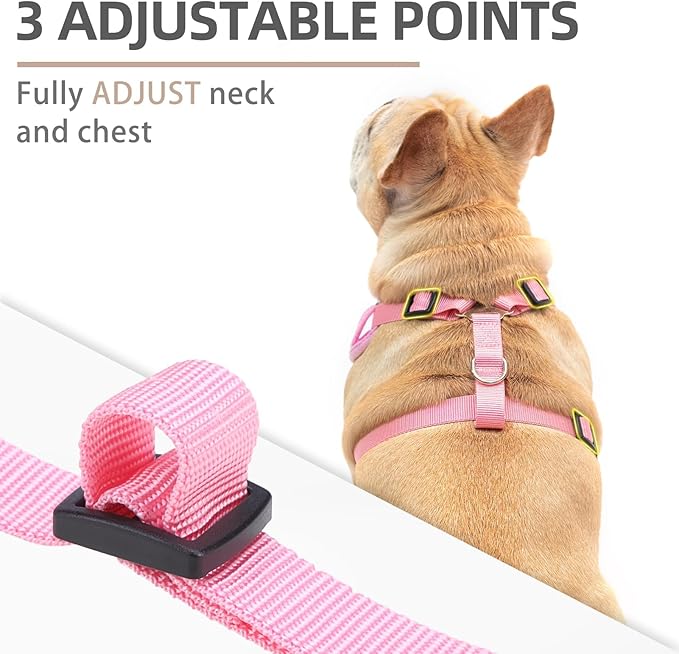 PUPTECK Dog Harness and Leash Set for Small Medium Dogs No Pull, Soft Mesh Adjustable Puppy Cat Harness Reflective at Night, Pink S