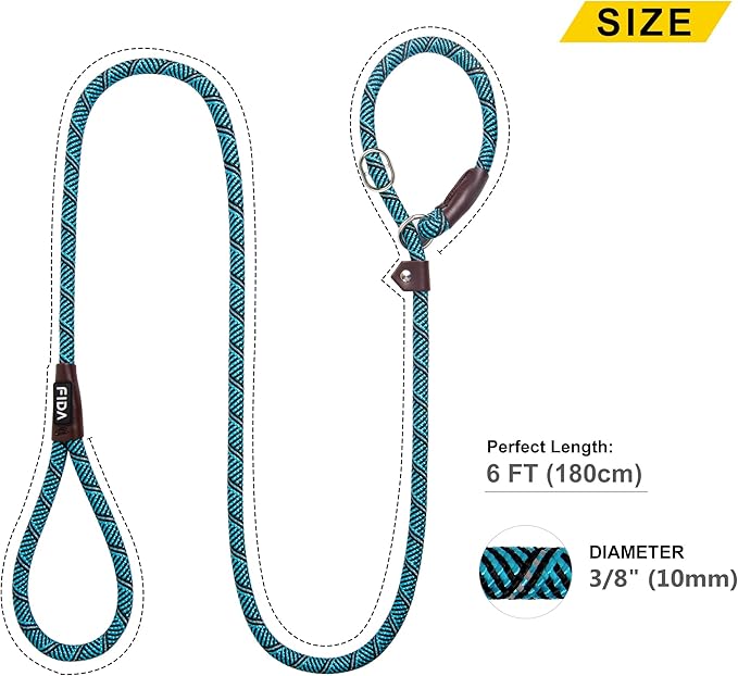 Fida Durable Slip Lead Dog Leash, 6 FT x 3/8" Heavy Duty Dog Loop Leashes, Comfortable Strong Rope Slip Leash for Small Dogs and Puppies, No Pull Pet Training Lead with Highly Reflective(3/8", Blue)