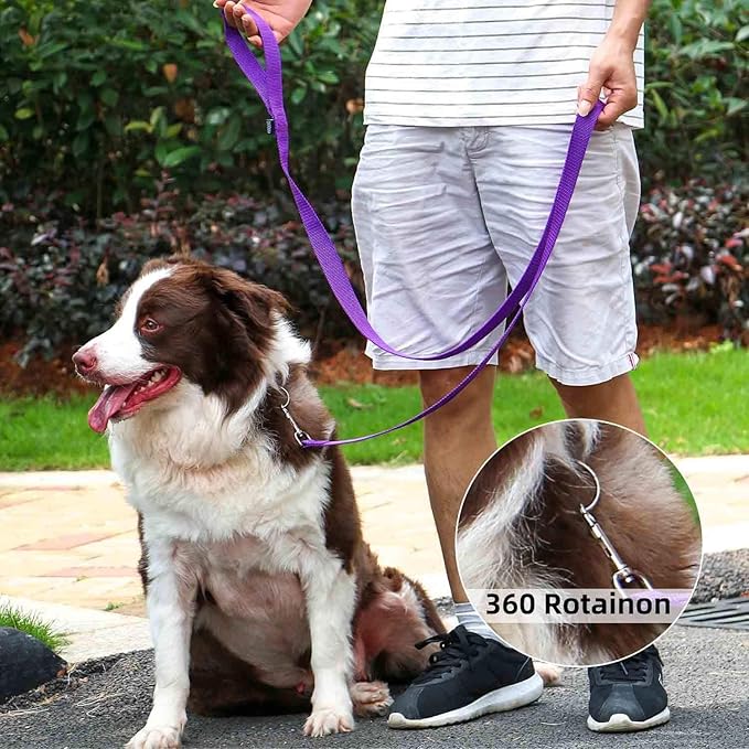 AMAGOOD 6 FT Puppy/Dog Leash, Strong and Durable Traditional Style Leash with Easy to Use Collar Hook, Great for Small, Medium and Large Dogs (1" x 6 ft, Black and Purple (2-Pack))