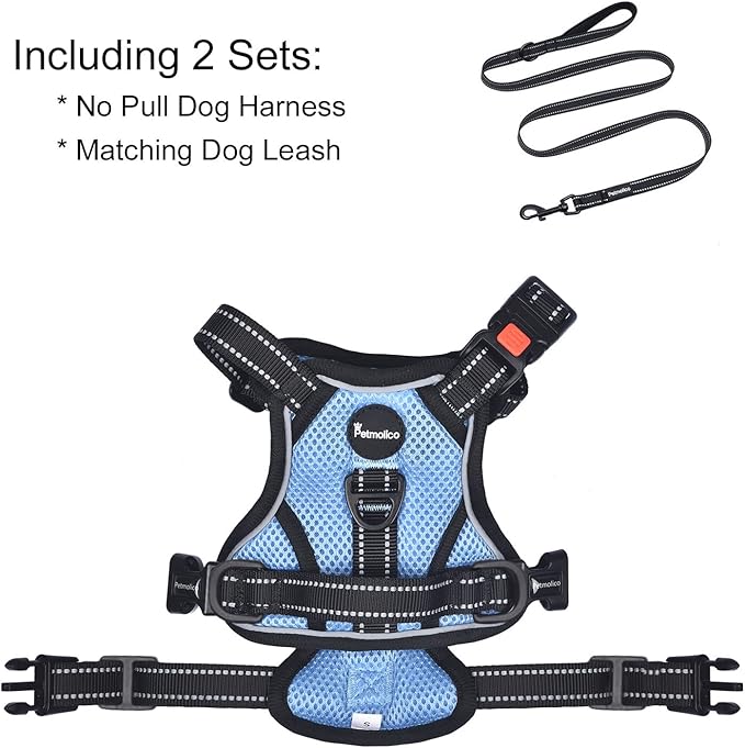 Petmolico No Pull Dog Harness and Leash Set, No Choke 4 Leash Attchments Easy Control Handle Soft Padded Reflective Vest Dog Harness for Small Dog Breed, Sky Blue Small