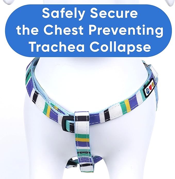 Pawtitas Pet Adjustable Solid Color Step in Puppy/Dog Harness 6 feet Matching Collar and Harness Sold Separately Extra Small Blue/Teal/Yellow Multicolor