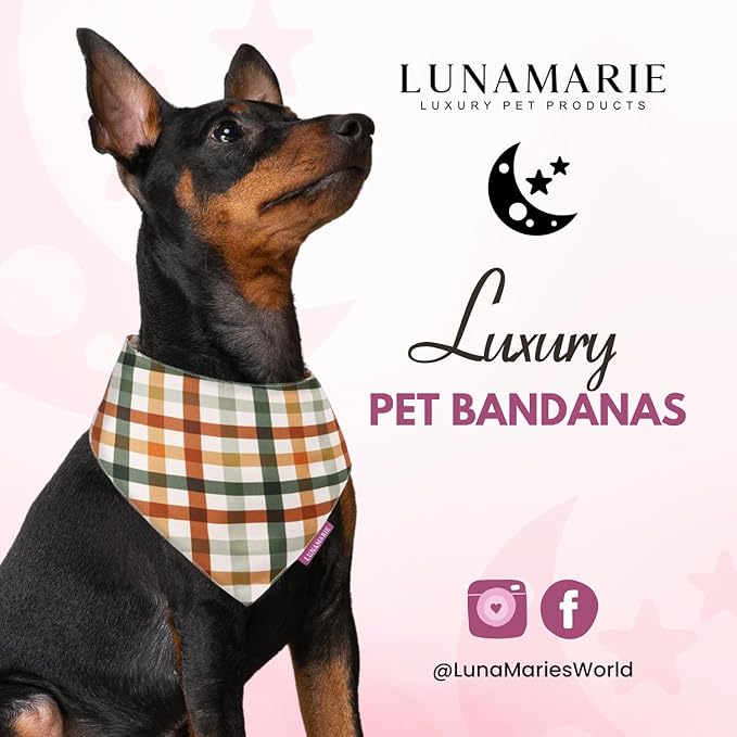 Luxury Pet Birthday Bandanas -Premium & Silky Poly Fabric | 100% Handmade | Custom Shape Dual Layered (Autumn, Medium)