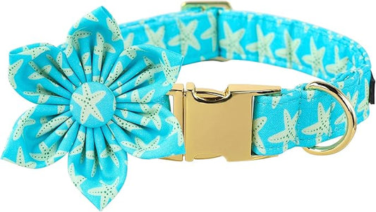 Lionet Paws Summer Female Dog Collar with Flower, Soft Comfortable Adjustable Starfish Collar for Dogs, Medium, Neck 13.5-22 inches