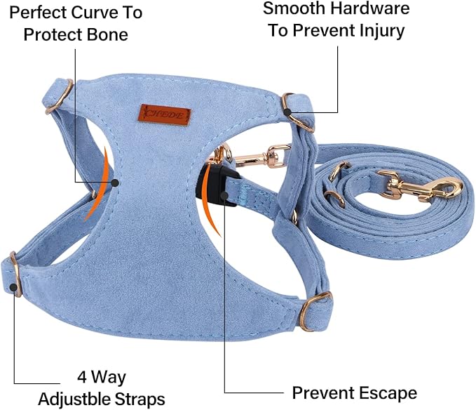 CHEDE No Pull Puppy Harness and Multifunction Dog Leash Set- 8 Colors Soft Adjustable No Choke Escape Proof Cute,Lightweight Pet Vest Harness for Small and Medium Dog (M, Blue)