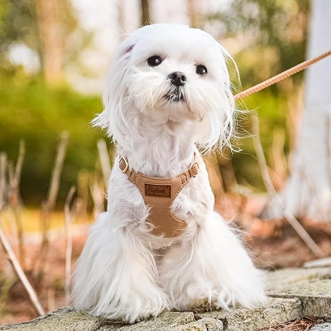 PUPTECK Dog Harness and Leash Set Small Sized, Step-in Cute Puppy Harness, Soft Lightweight Padded Vest, Escape Proof No Pull Pet Harnesses Easy for Walking, Khaki, XS