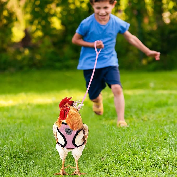 Adjustable Chicken Harness with Leash Small Pet Harness and Leash for Duck Hen Goose Walking, Pink (M)
