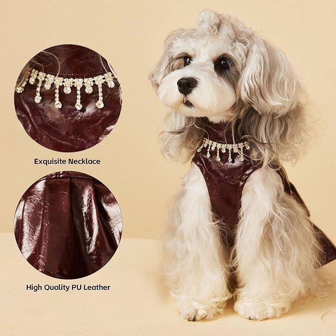 Luxury Dog Dress Girl Puppy Pu Leather Motorcycle Jacket Princess Tutu Skirt with Necklace for Small Pet Birthday Wedding Costume