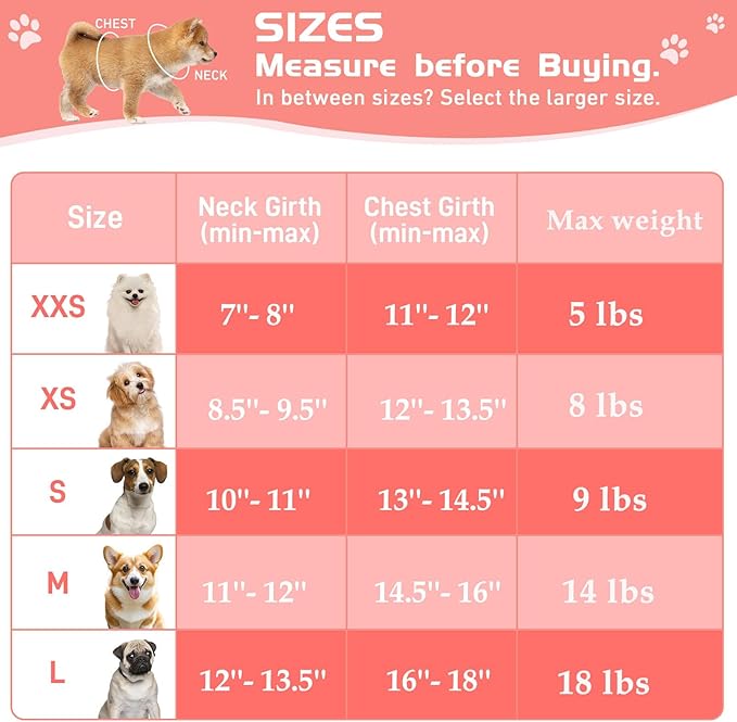 Soft Mesh Dog Harness and Leash Set, No Pull Puppy Harness and Leash Set, Reflective Step in Harness for Small Medium Dogs, Easy Walk Escape Proof Vest Harnesses (Pink, L)