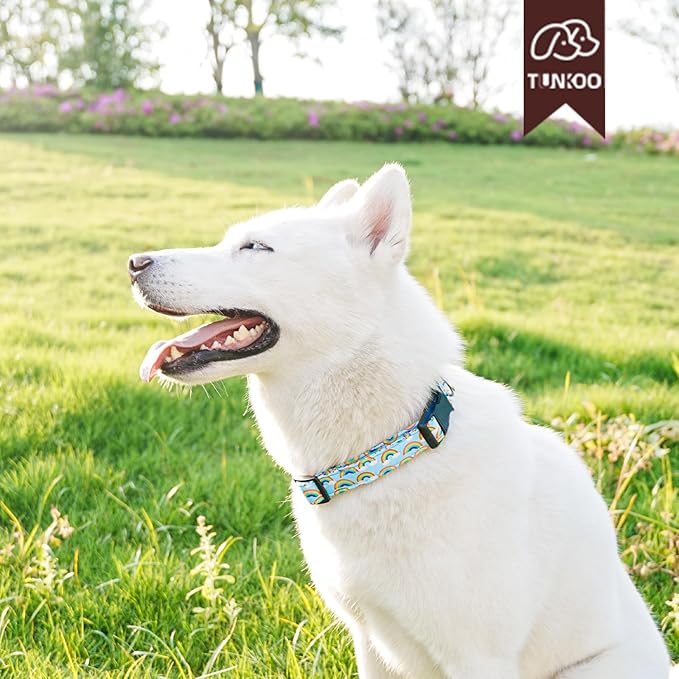 Tunkoo Pride Dog Collar Rainbow Cloud, Cute Adjustable Striped Collar with Strong Plastic Buckle - for Small Medium Large Pets, S
