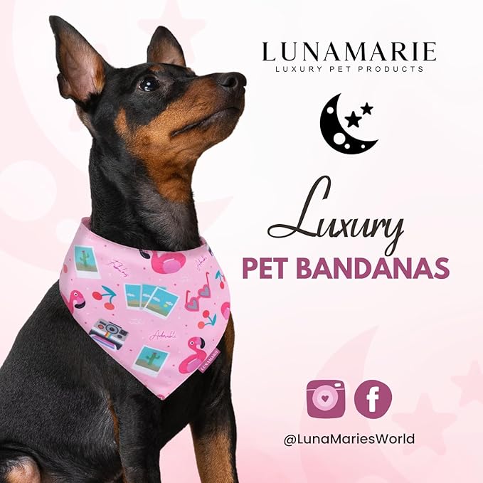 Luxury Pet Birthday Bandanas -Premium & Silky Poly Fabric | 100% Handmade | Custom Shape Dual Layered (Summer Vibes, Large)