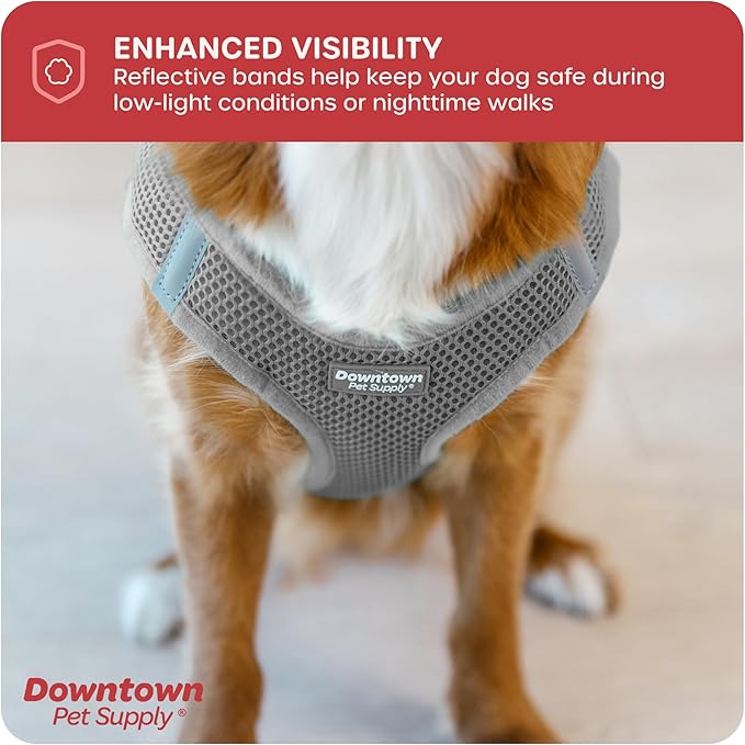 Downtown Pet Supply Step in Dog Harness for Small Dogs No Pull, X-Small, Light Gray - Adjustable Harness with Padded Mesh Fabric and Reflective Trim - Buckle Strap Harness for Dogs