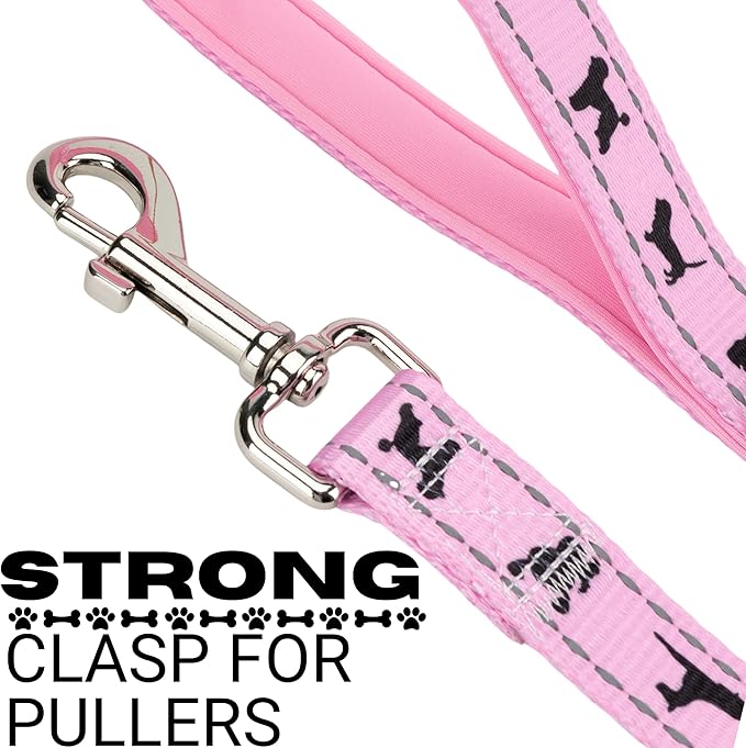 EcoBark Dog Leash - 4 FT / 5 FT / 6 FT Reflective Dog Leash- Eco-Bright Dog Leashes with Padded Handle - Strong Heavy Duty Dog Leash - Nylon Dog Leash for Small and Medium Dogs (Baby Pink Dog Leash)
