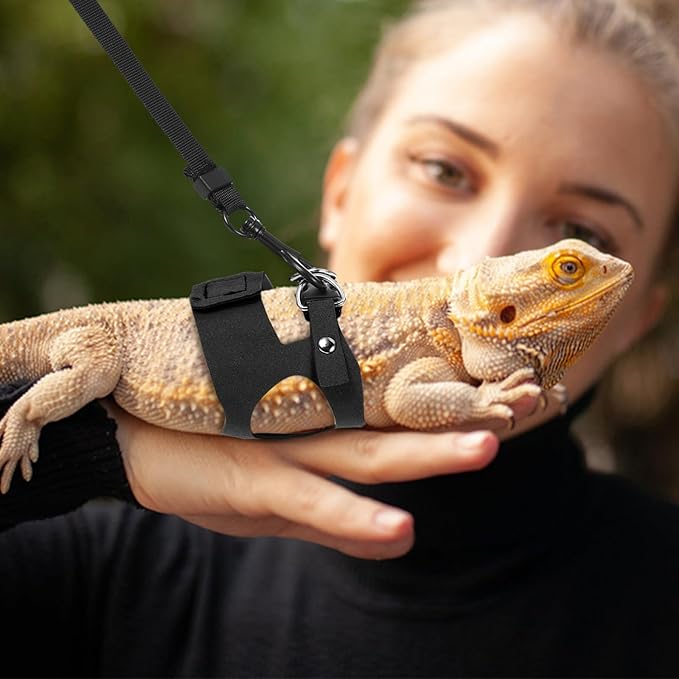 3 Pack Bearded Dragon Harness and Leash Set, 3 Sizes Adjustable Cool Orange Reptile Harness Leash, Adjustable Soft Leather Lizard Harnesss with Retractable Leashes for Reptile Squirrel Rat