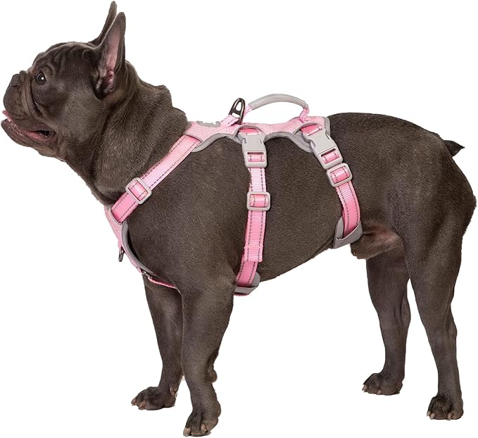 No Escape Dog Harness, Escape Proof Harness, Fully Reflective Harness with Padded Handle, Breathable,Durable, Adjustable Vest for Small Dogs Walking, Training, and Running Gear（Pink,S
