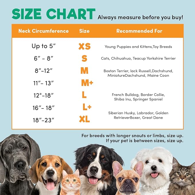 BENCMATE Protective Inflatable Collar for Dogs and Cats - Soft Pet Recovery Collar Does Not Block Vision (XLarge, Purple)