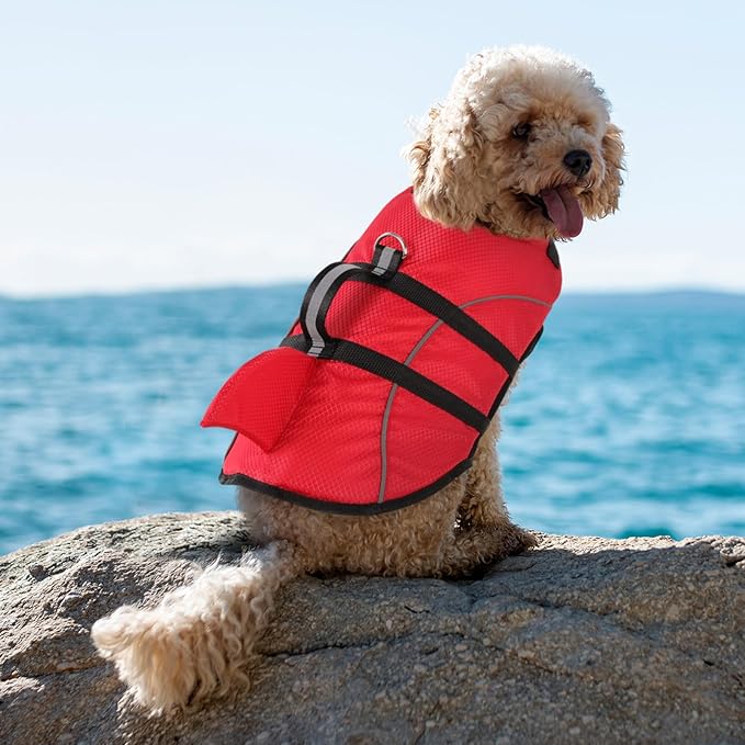 Queenmore Small Dog Life Jacket,Shark Dog Life Vest for Swimming,Puppy Light Life Preserver for Boating Kayaking Canoeing,Pet Reflective Lifesaver with High Buoyancy,Rescue Handle,Leash Hook (Red,M)