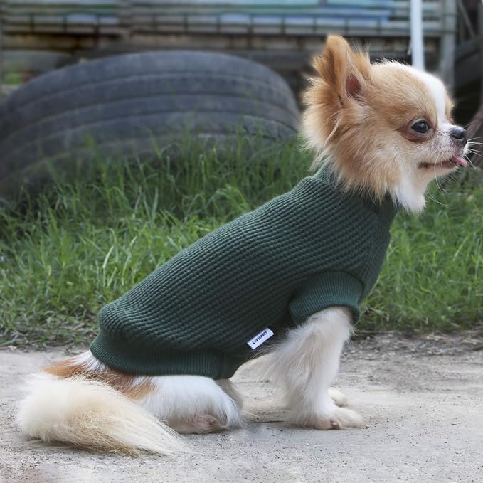 LOPHIPETS Lightweight Dog Sweaters for Puppy Small Dogs Puppy Chihuahua Yorkie Clothes-Atrovirens/S