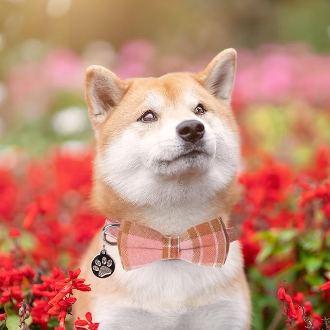 ADOGGYGO Pink Plaid Dog Collar with Detachable Bowtie, Adjustable Soft Plaid Pink Collars for Small Medium Large Female Dogs (Medium)