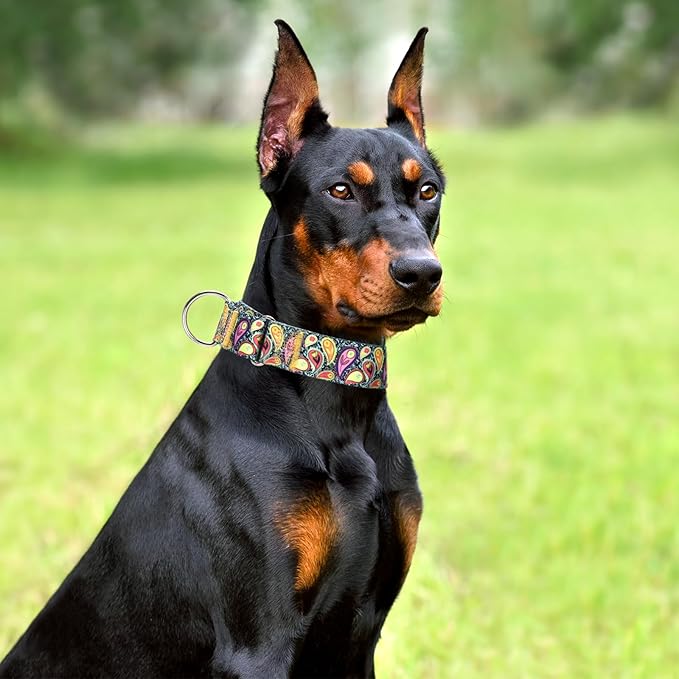 Martingale Dog Collar 1.5 Inch Wide - Heavy Duty Adjustable No-Pull Training Collar for Medium/Large Dogs, Cashew Flower Design Durable Nylon Collar (Medium)